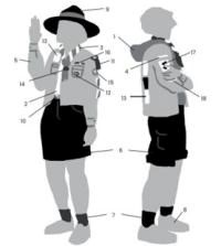 Uniform overzicht scouts